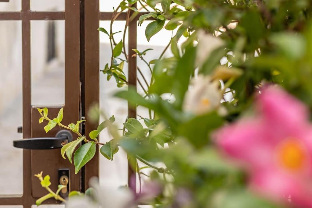 Cconforthotels Appartamento Domus Venezia バーリ エクステリア 写真